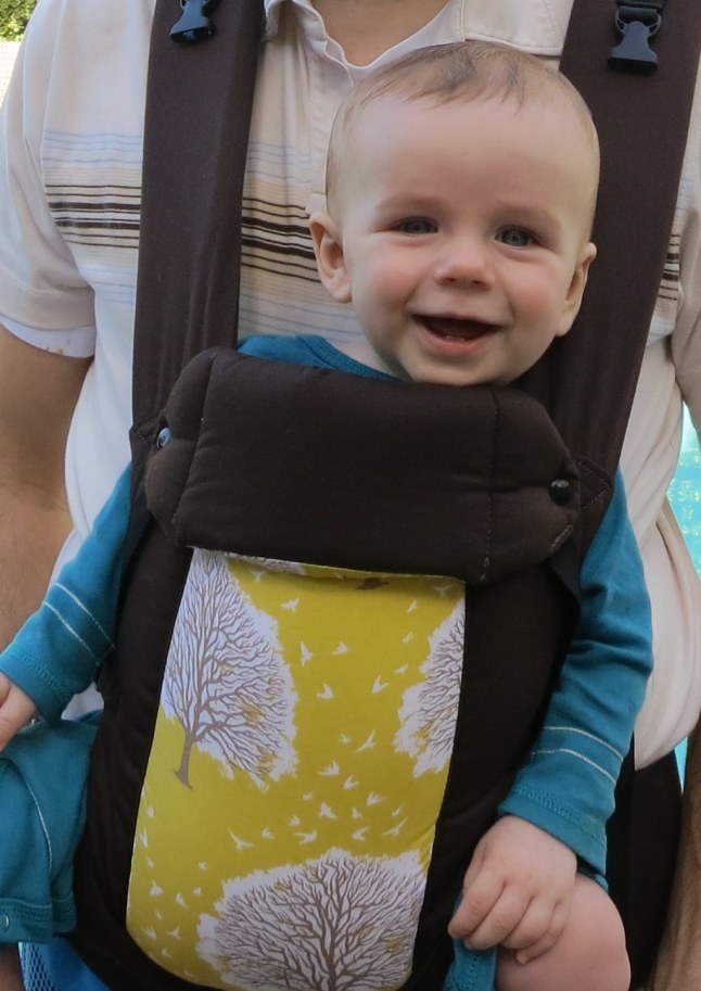 Gus in our new baby carrier.